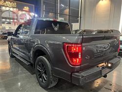 فورد إف-150